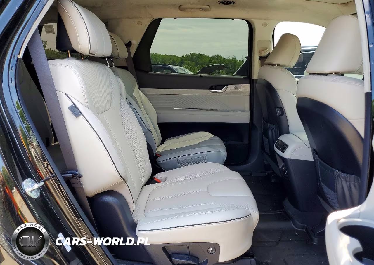 2025 Hyundai Palisade Calligraphy VIN:KM8R7DGE8SU950884 - 11