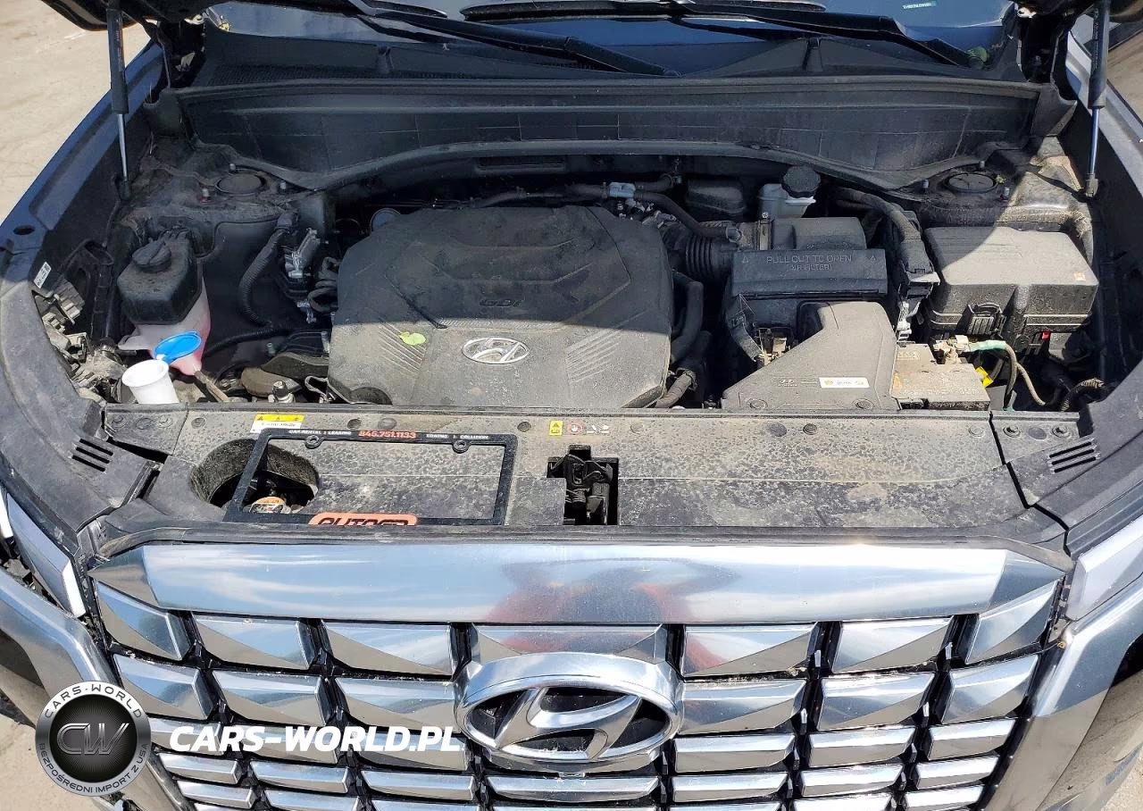 2025 Hyundai Palisade Calligraphy VIN:KM8R7DGE8SU950884 - 12