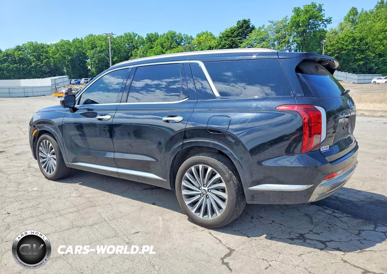 2025 Hyundai Palisade Calligraphy VIN:KM8R7DGE8SU950884 - 2