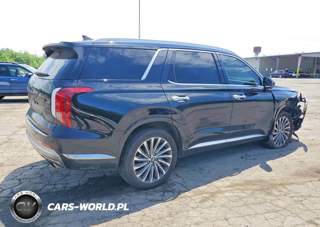 2025 Hyundai Palisade Calligraphy VIN:KM8R7DGE8SU950884 - 3