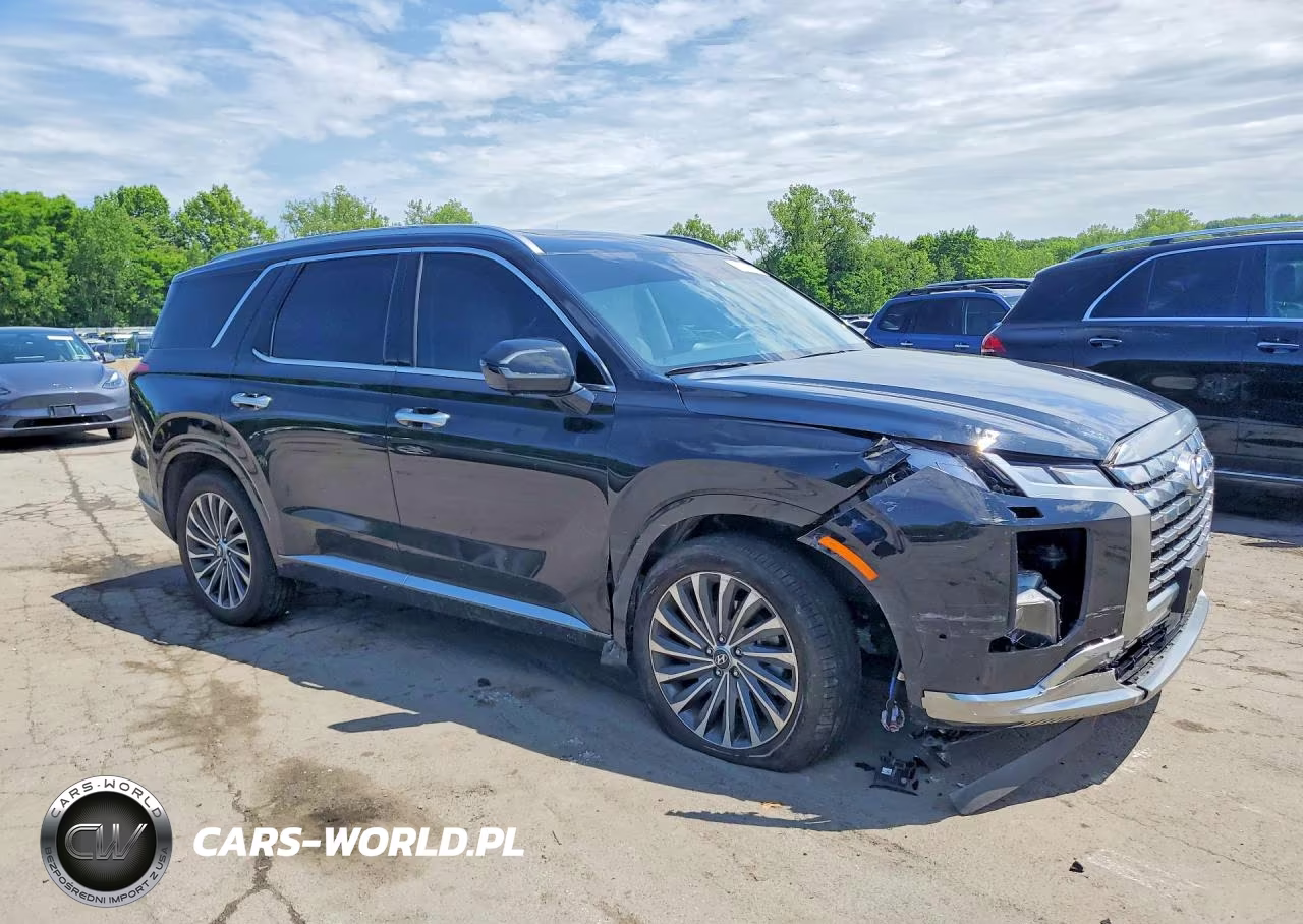 2025 Hyundai Palisade Calligraphy VIN:KM8R7DGE8SU950884 - 4