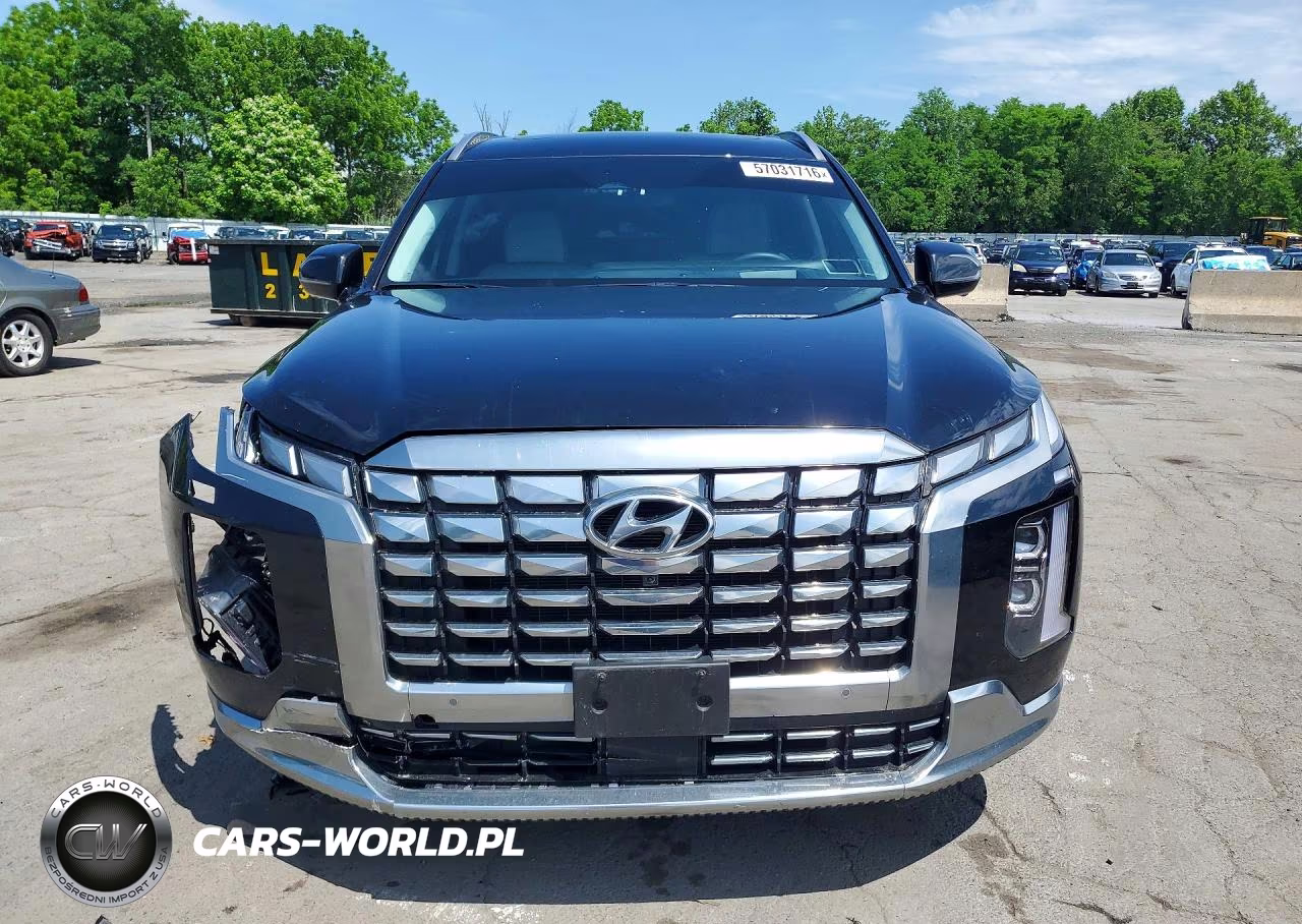 2025 Hyundai Palisade Calligraphy VIN:KM8R7DGE8SU950884 - 5