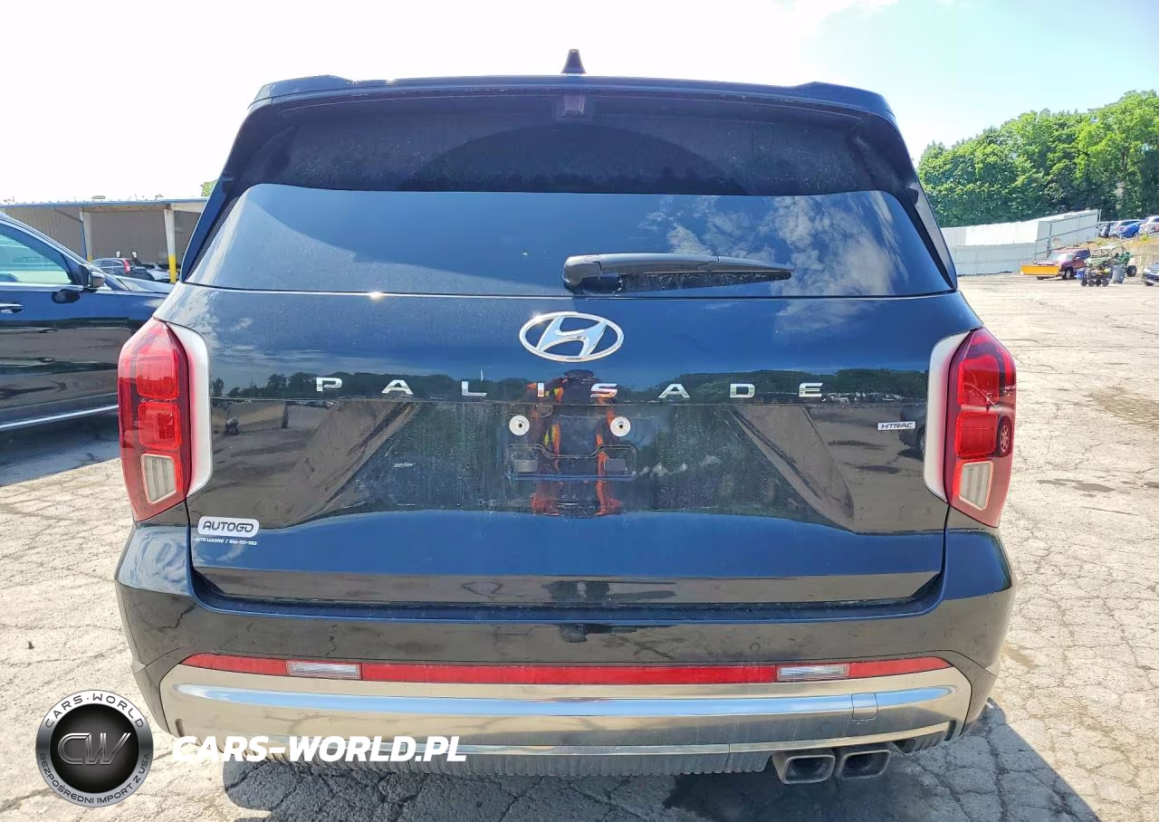 2025 Hyundai Palisade Calligraphy VIN:KM8R7DGE8SU950884 - 6
