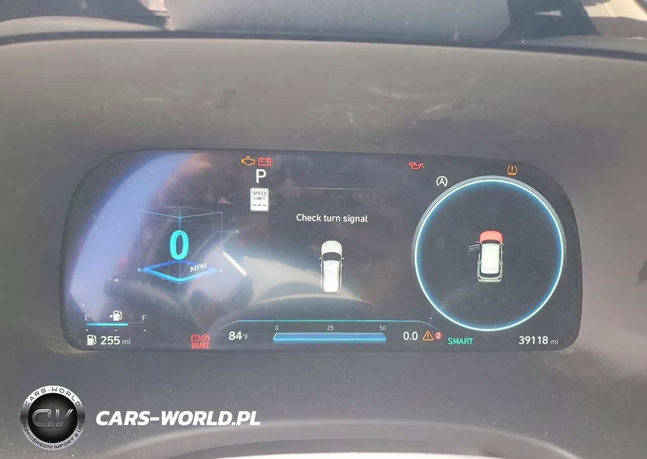 2025 Hyundai Palisade Calligraphy VIN:KM8R7DGE8SU950884 - 9