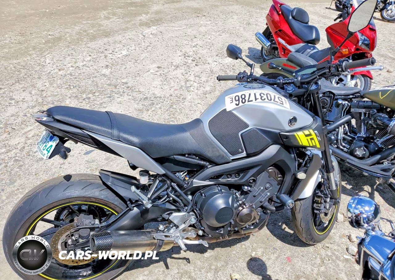 2017 Yamaha Fz09