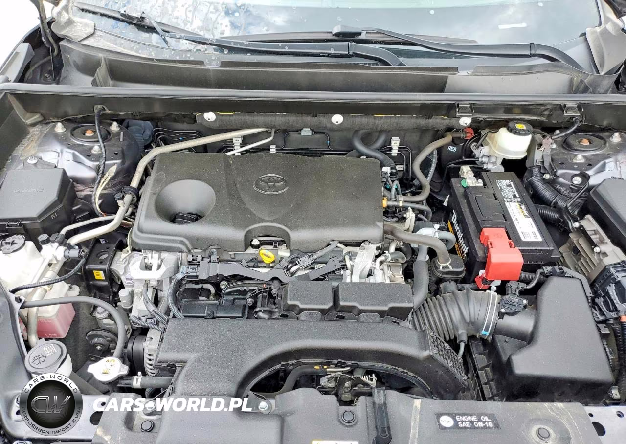 2019 Toyota Rav4 Limited VIN:JTMY1RFV1KD515852 - 12