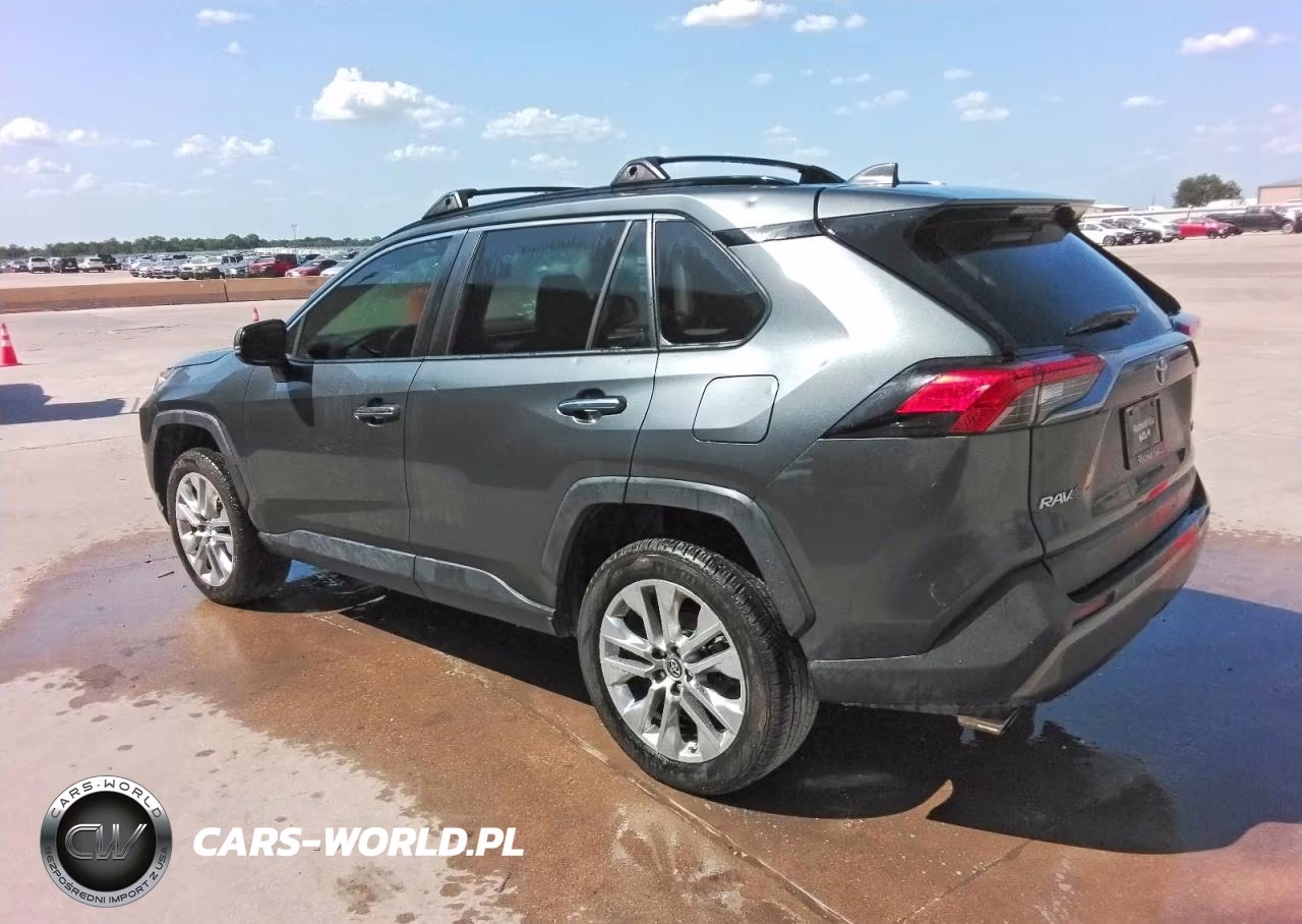 2019 Toyota Rav4 Limited VIN:JTMY1RFV1KD515852 - 2