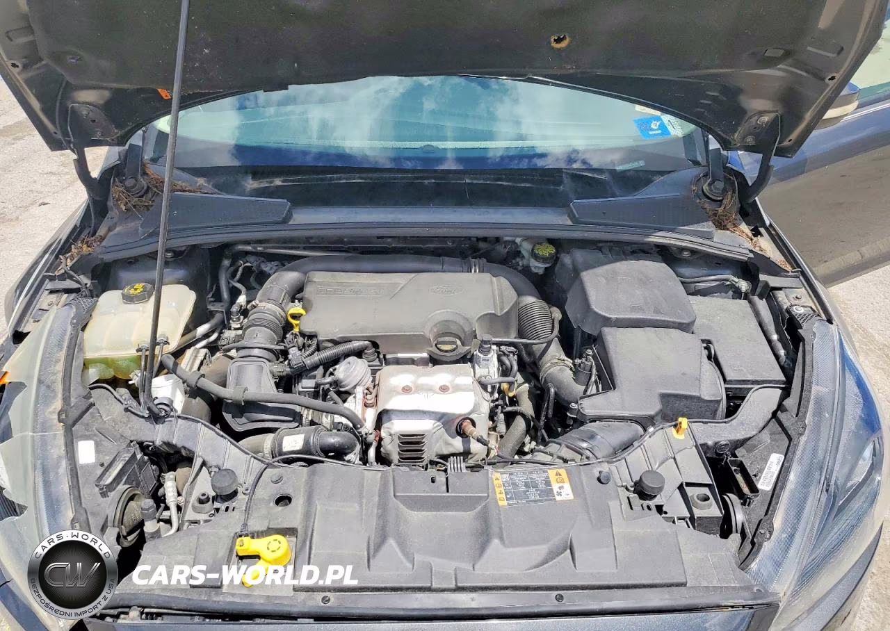 2016 Ford Focus Se VIN:1FADP3FE5GL274746 - 11