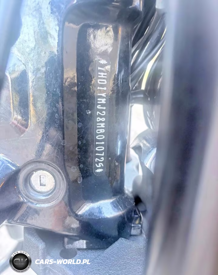 2021 Harley-Davidson Flsb VIN:1HD1YMJ28MB010725 - 10