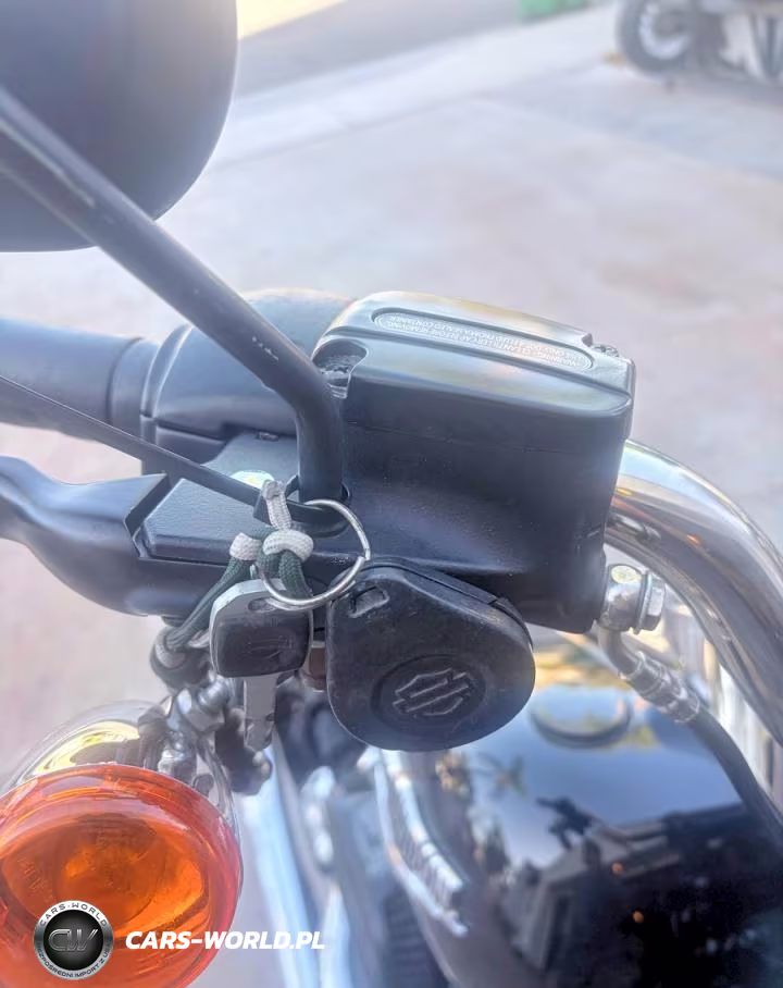 2021 Harley-Davidson Flsb VIN:1HD1YMJ28MB010725 - 9