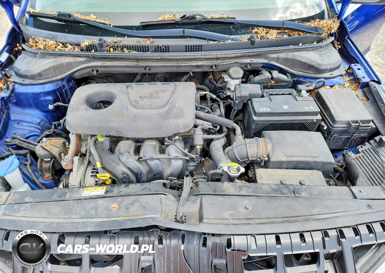 2019 Hyundai Accent Se VIN:3KPC24A36KE052718 - 11