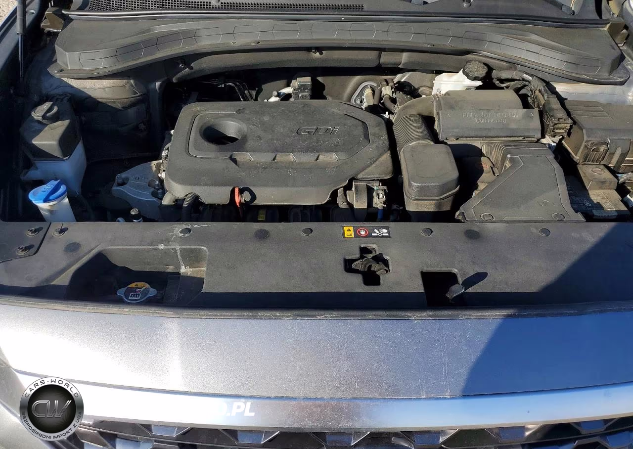 2019 Hyundai Santa Fe VIN:5NMS2CAD3KH093394 - 11