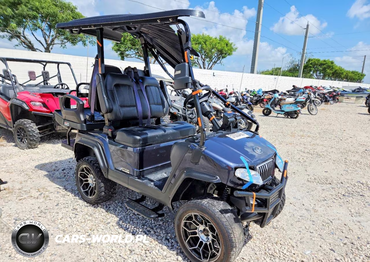 2024 Evolution Golf Cart – zdjęcie 1 z 10
