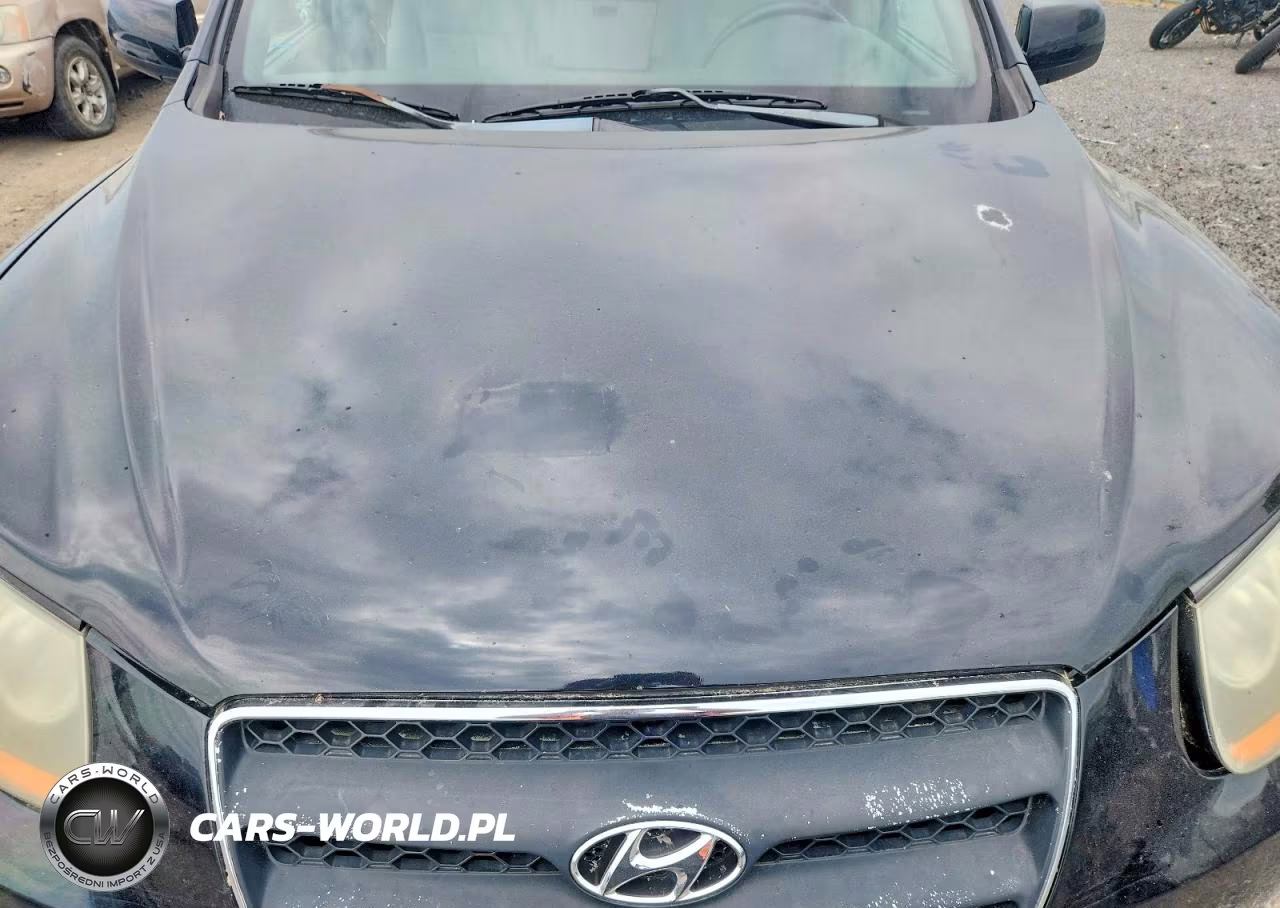 2008 Hyundai Santa Fe Se VIN:5NMSH73E38H141884 - 12