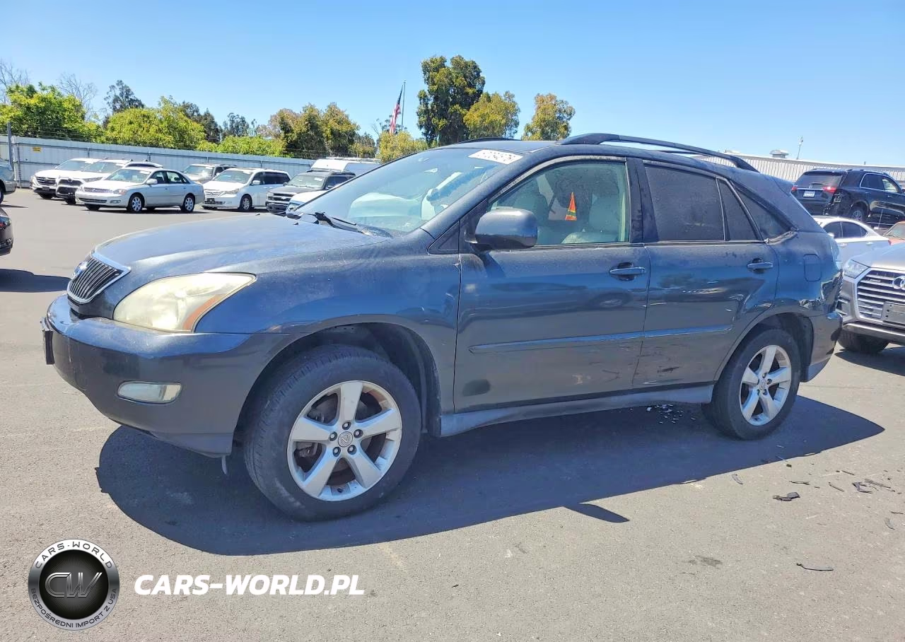 2004 Lexus Rx 330