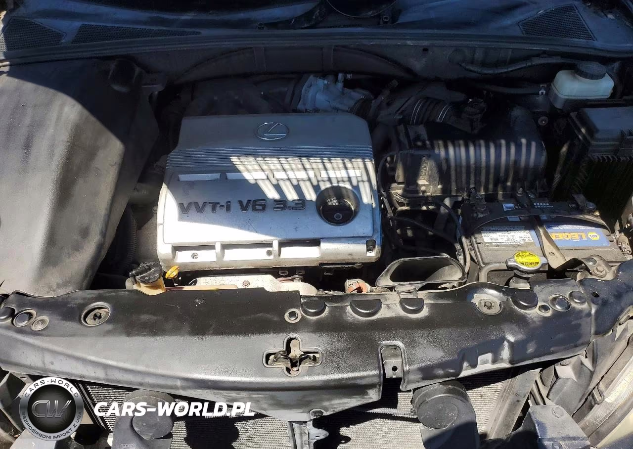 2004 Lexus Rx 330 VIN:JTJGA31UX40004977 - 11
