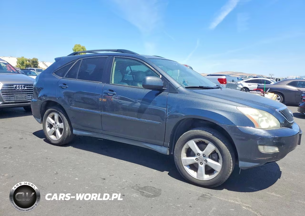 2004 Lexus Rx 330 VIN:JTJGA31UX40004977 - 4