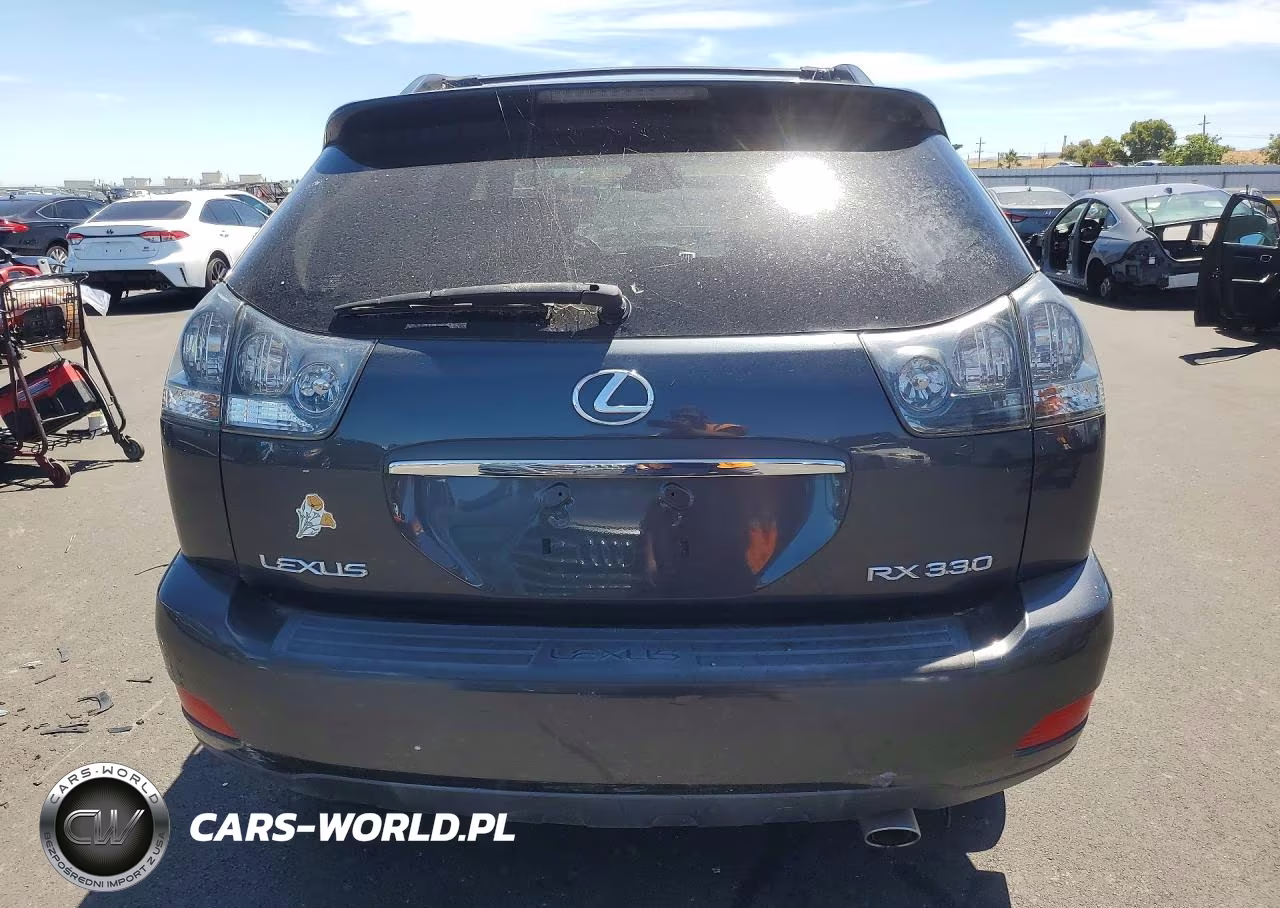 2004 Lexus Rx 330 VIN:JTJGA31UX40004977 - 6