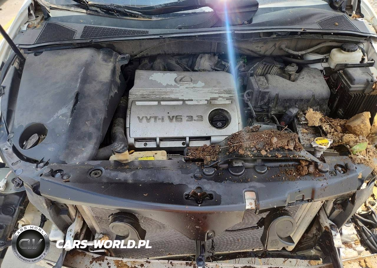 2005 Lexus Rx 330 VIN:2T2HA31U55C057662 - 12