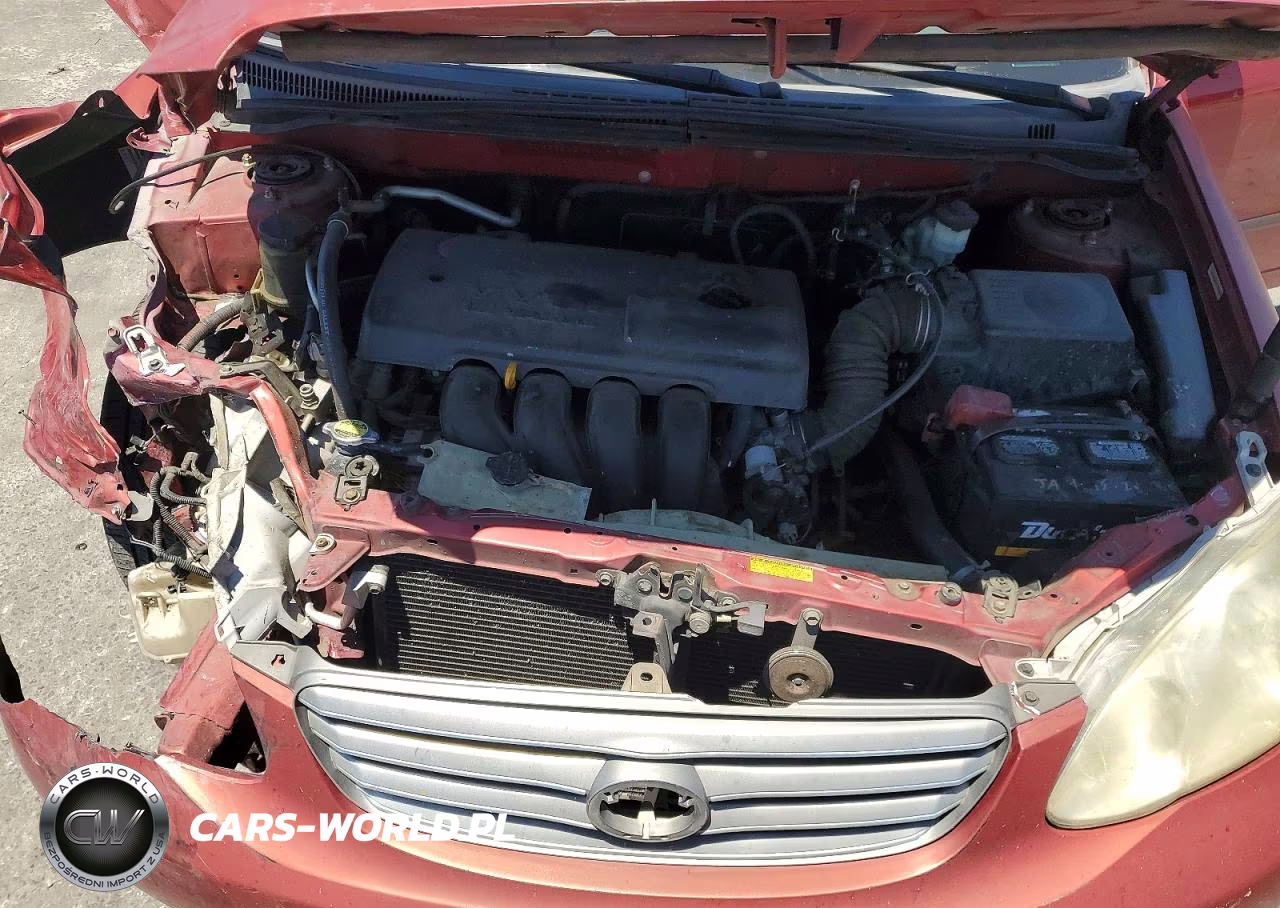 2004 Toyota Corolla Ce VIN:JTDBR32E242018129 - 11