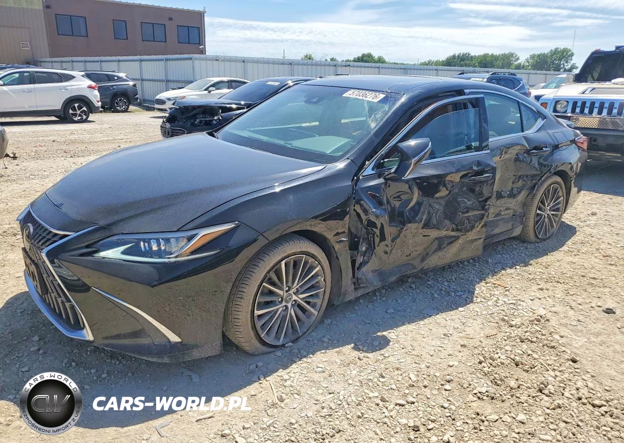 2022 Lexus Es 250 Base VIN:58AD11D1XNU008909 - 1