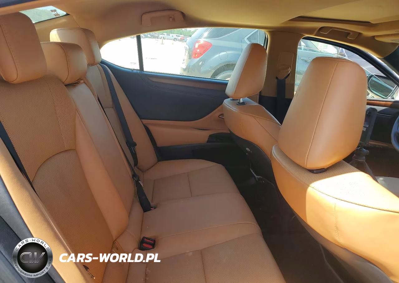 2022 Lexus Es 250 Base VIN:58AD11D1XNU008909 - 10