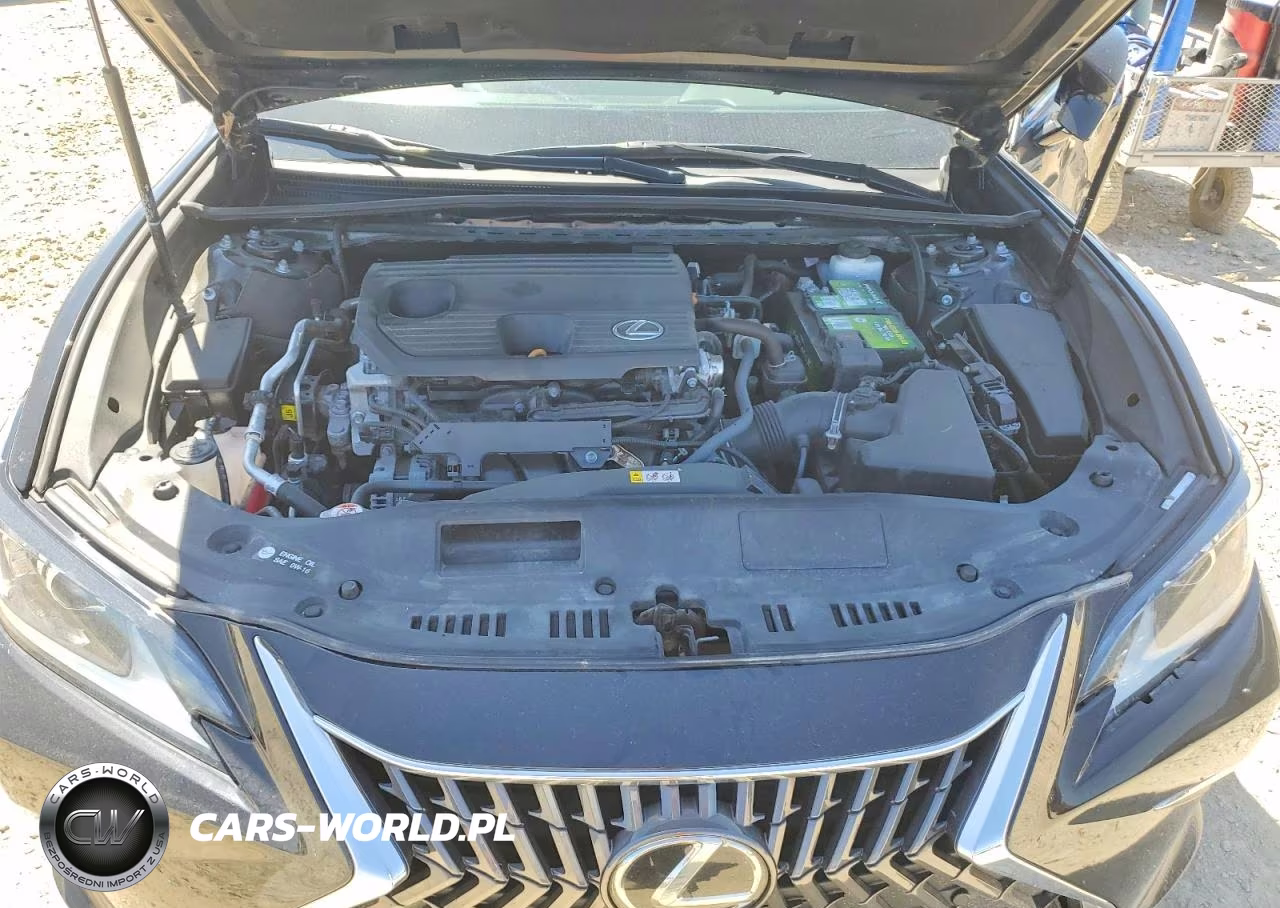 2022 Lexus Es 250 Base VIN:58AD11D1XNU008909 - 11