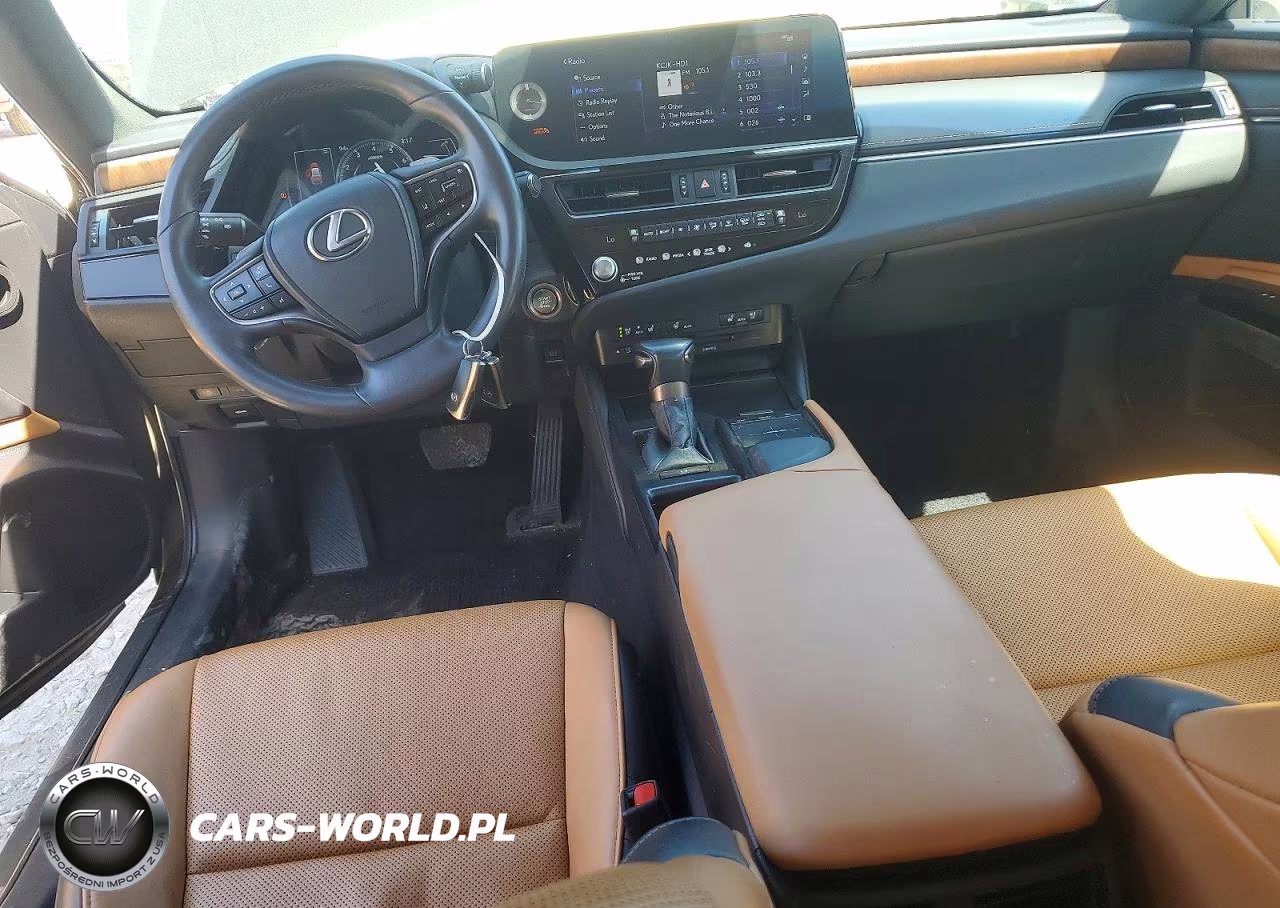 2022 Lexus Es 250 Base VIN:58AD11D1XNU008909 - 8