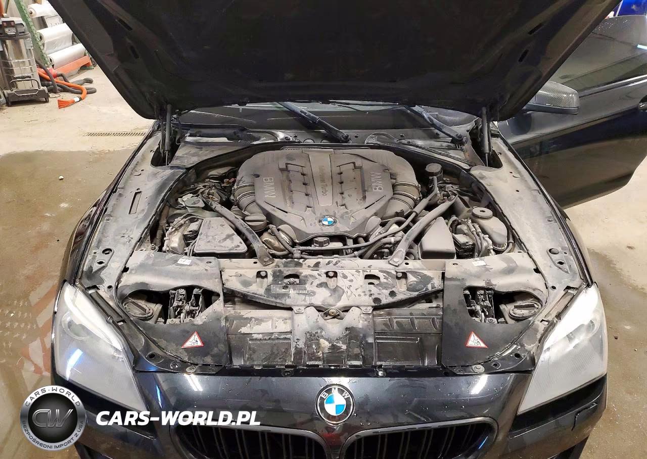 2013 BMW 650 Xi VIN:WBAYM1C59DDZ02601 - 11