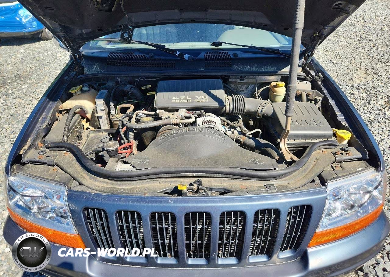 2000 Jeep Grand Cherokee Limited VIN:1J4GW58N0YC423241 - 12