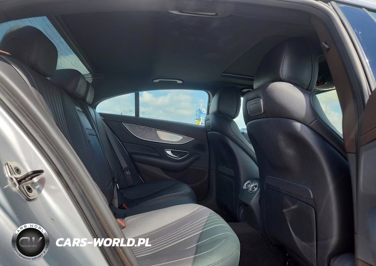 2019 Mercedes-Benz Cls 450 4Matic VIN:WDD2J5KB9KA029517 - 10