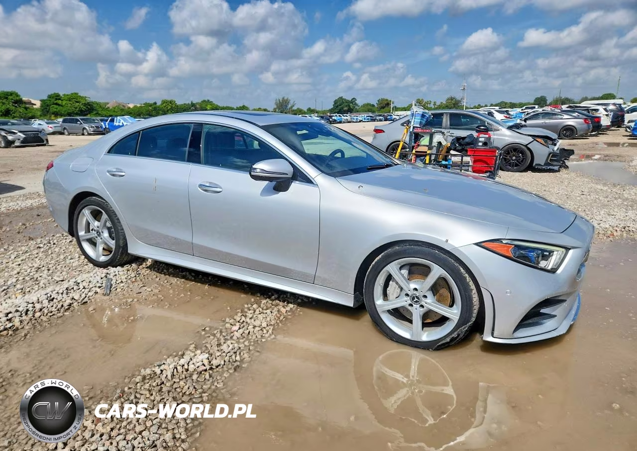 2019 Mercedes-Benz Cls 450 4Matic VIN:WDD2J5KB9KA029517 - 4