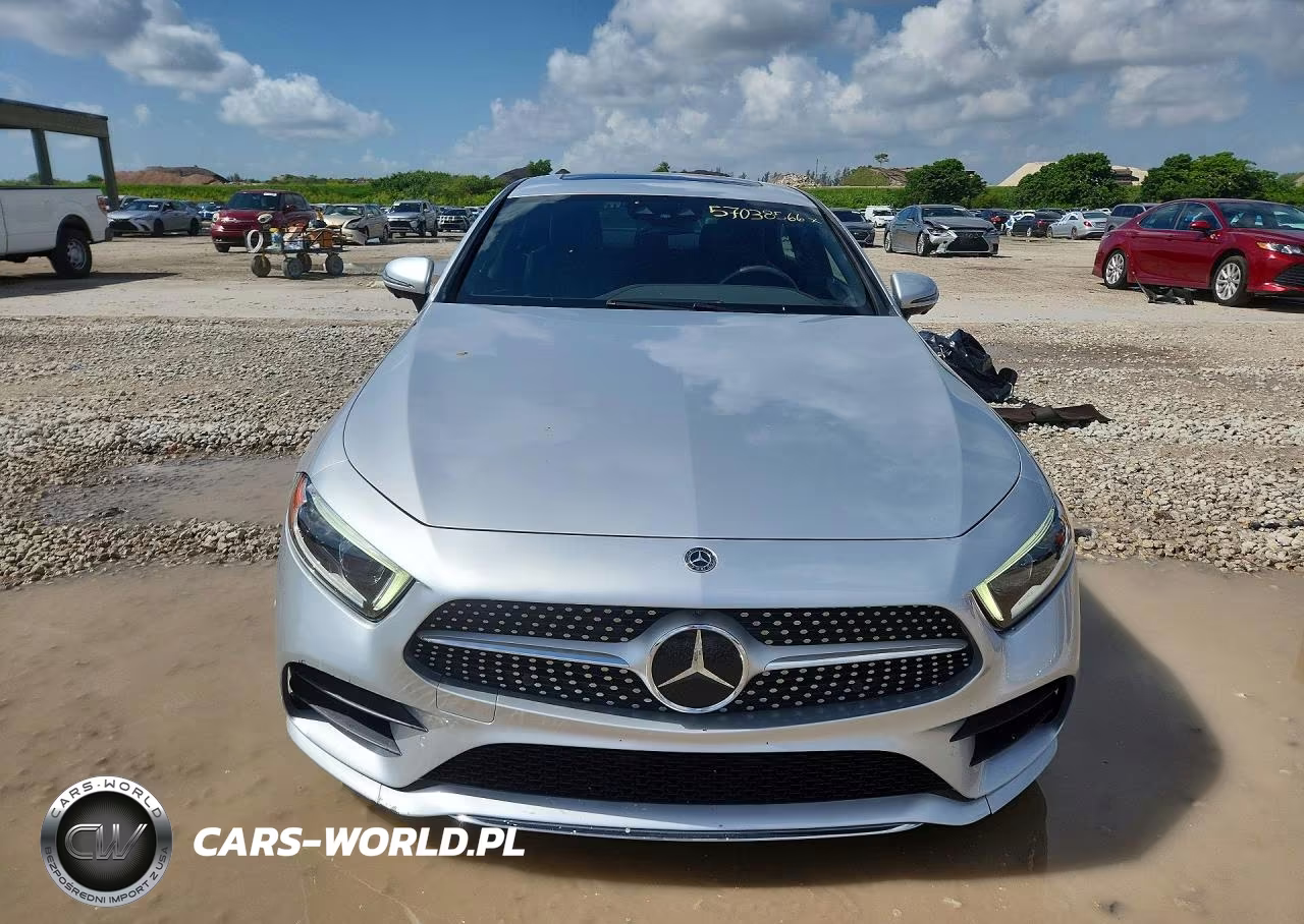 2019 Mercedes-Benz Cls 450 4Matic VIN:WDD2J5KB9KA029517 - 5
