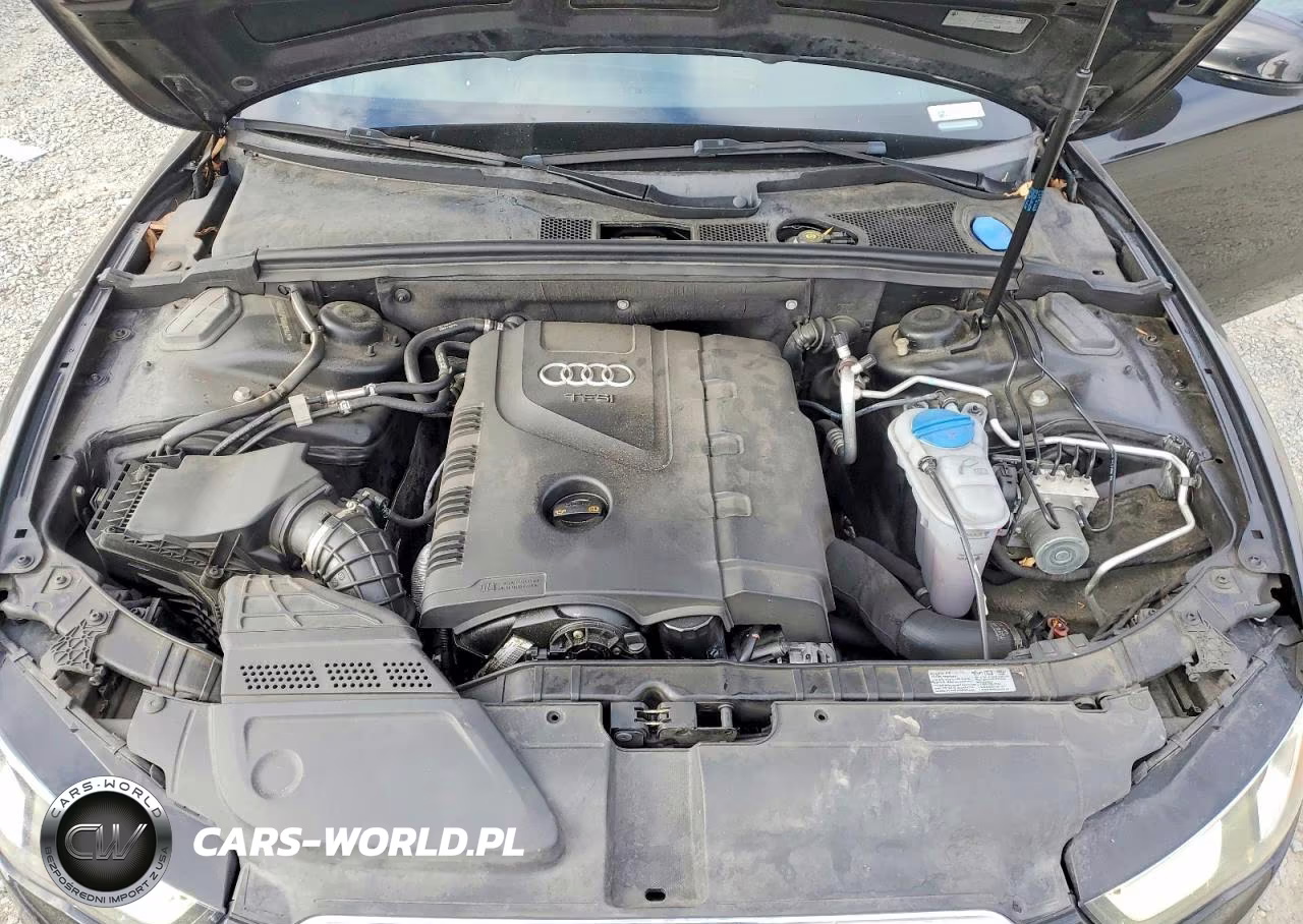 2013 Audi A5 Premium Plus VIN:WAULFAFR9DA066437 - 11