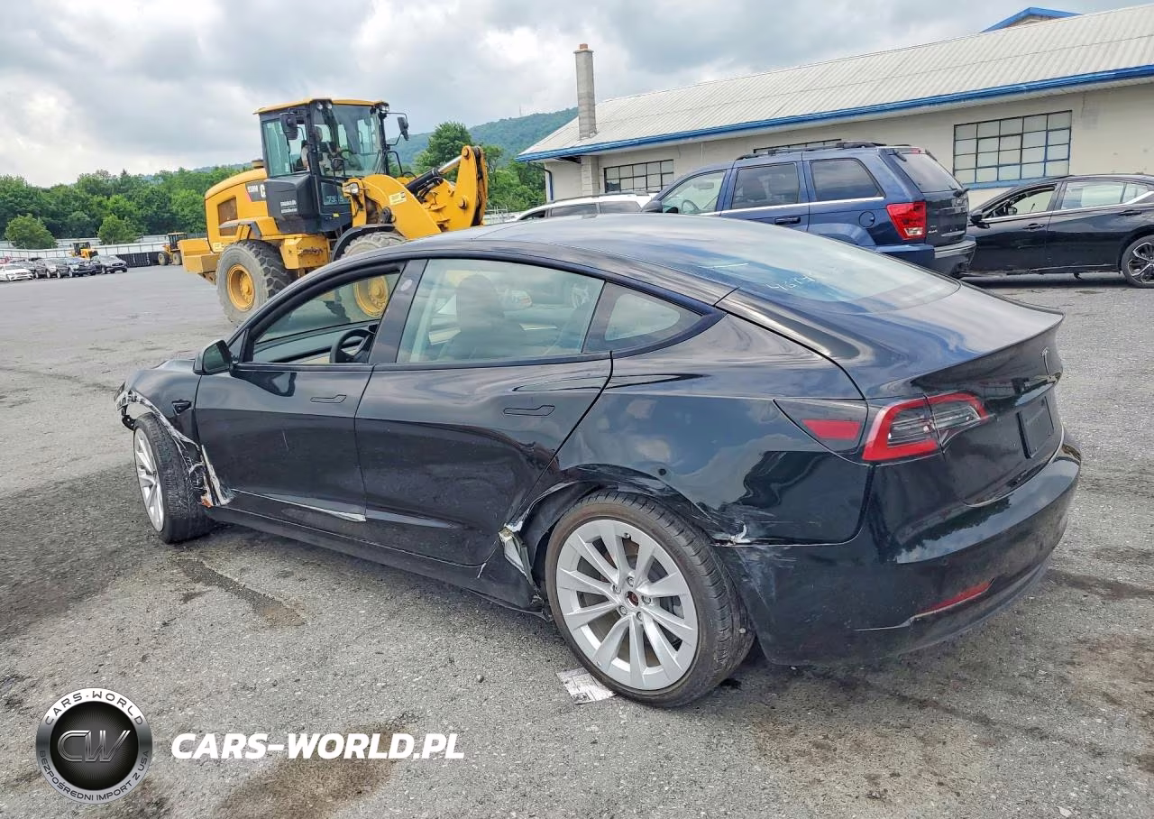 2022 Tesla Model 3 VIN:5YJ3E1EA4NF289558 - 2