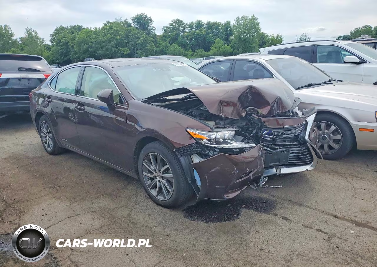 2016 Lexus Es 300H VIN:JTHBW1GG1G2119981 - 4