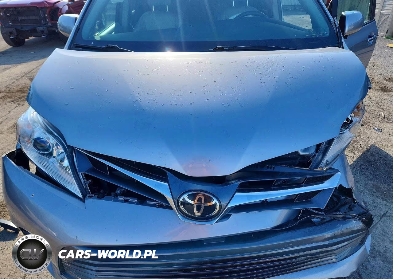 2018 Toyota Sienna Xle 7-Passenger VIN:5TDDZ3DC3JS199816 - 12
