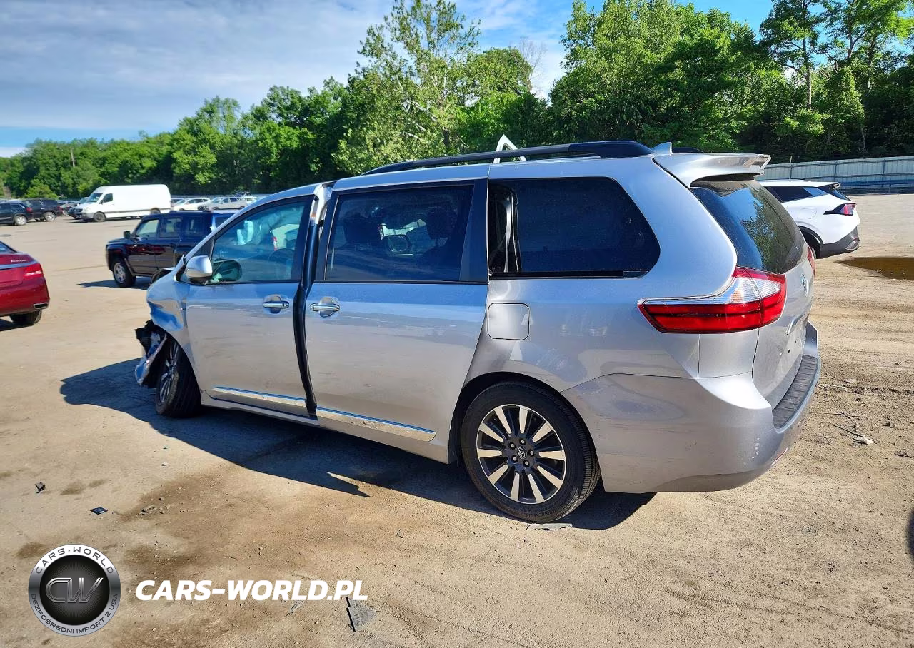 2018 Toyota Sienna Xle 7-Passenger VIN:5TDDZ3DC3JS199816 - 2