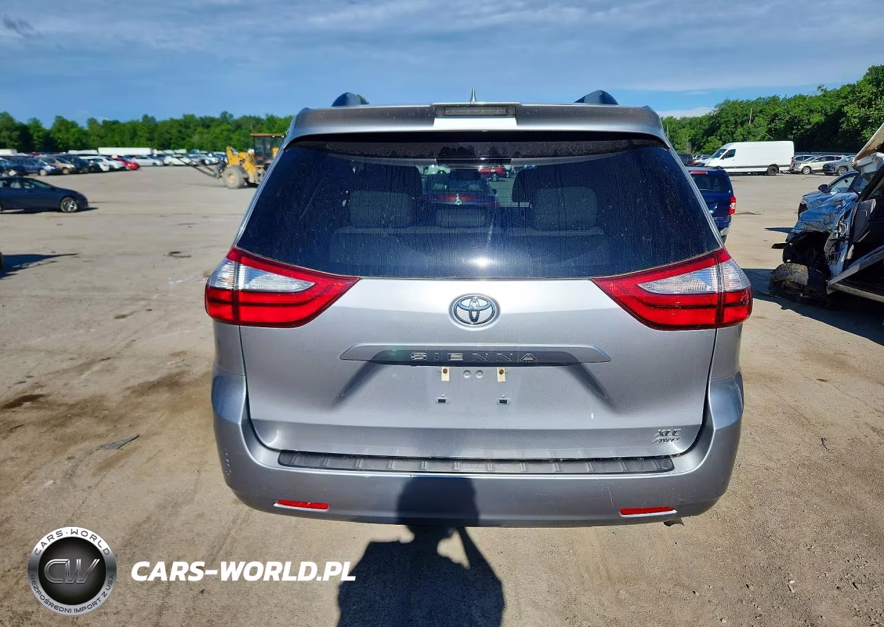 2018 Toyota Sienna Xle 7-Passenger VIN:5TDDZ3DC3JS199816 - 6