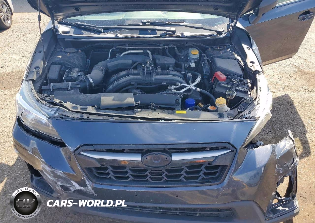 2019 Subaru Crosstrek VIN:JF2GTABC0K8338555 - 12