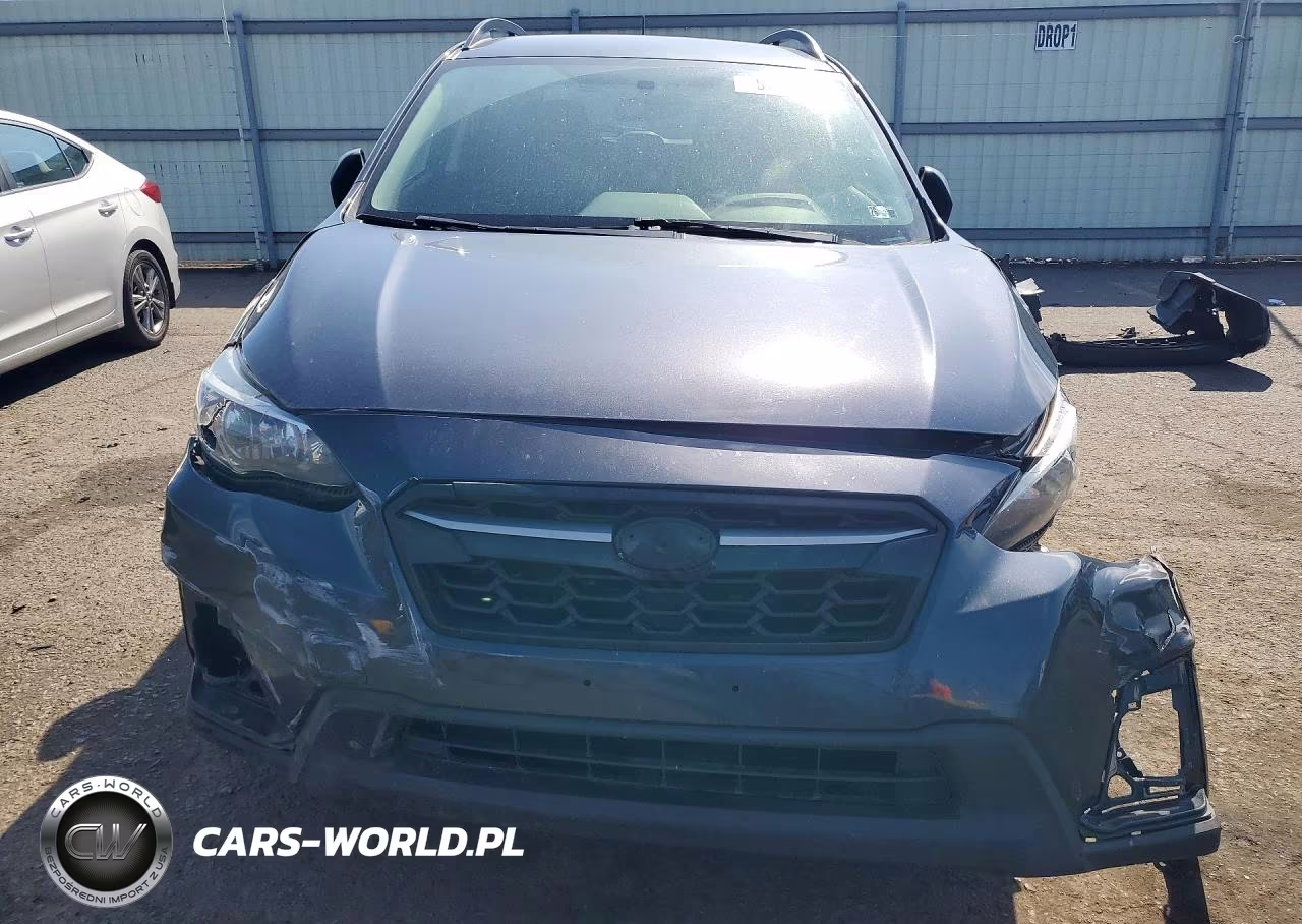 2019 Subaru Crosstrek VIN:JF2GTABC0K8338555 - 5