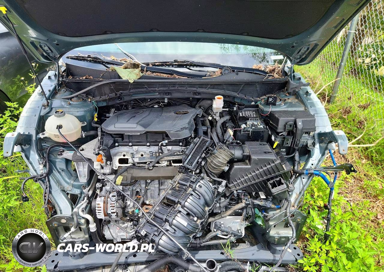 2024 Hyundai Tucson Sel VIN:KM8JB3DE4RU308733 - 12
