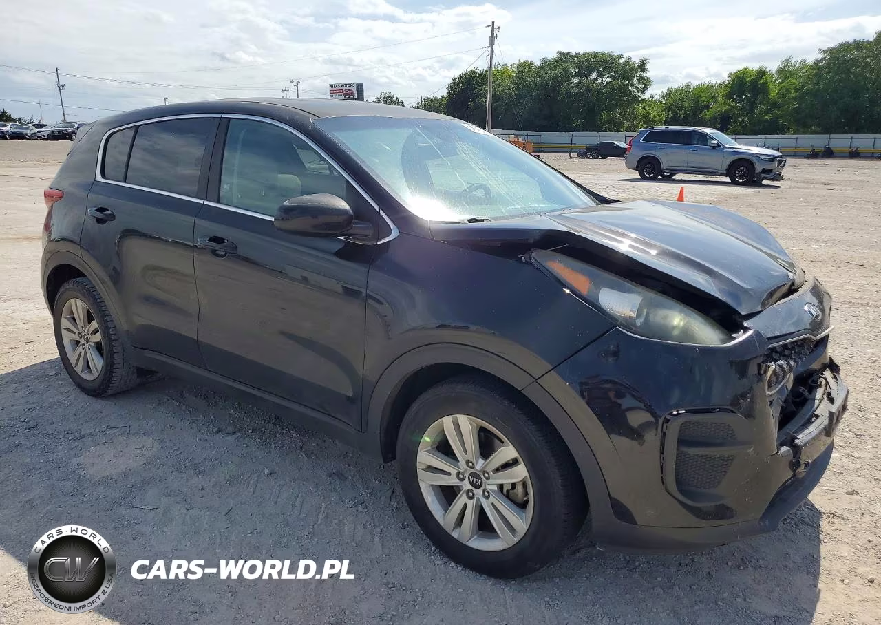 2017 Kia Sportage Lx VIN:KNDPM3AC4H7205157 - 4