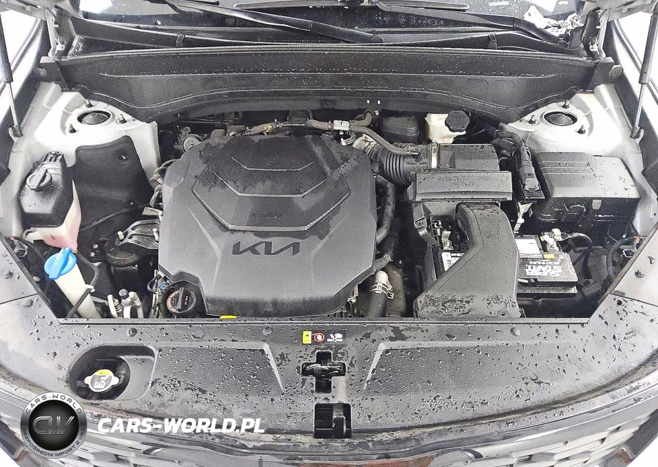 2022 Kia Telluride Ex VIN:5XYP3DHCXNG223367 - 12