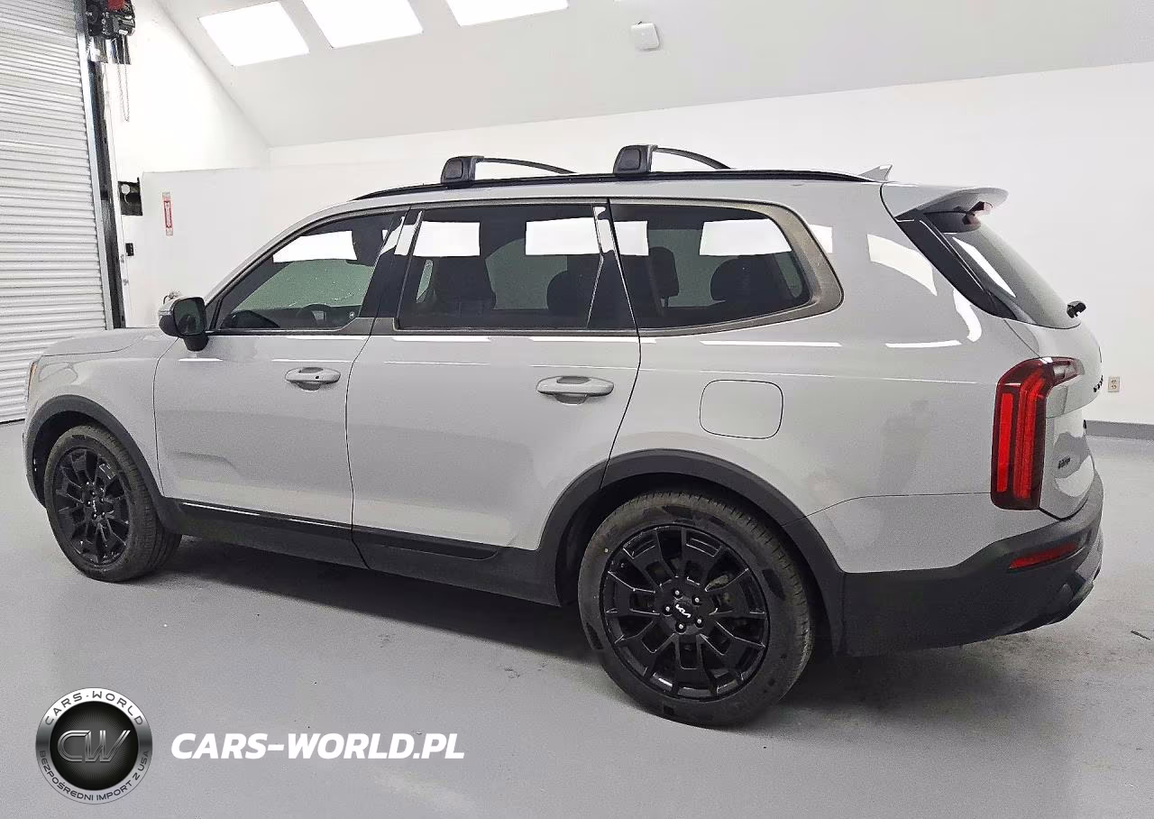 2022 Kia Telluride Ex VIN:5XYP3DHCXNG223367 - 2