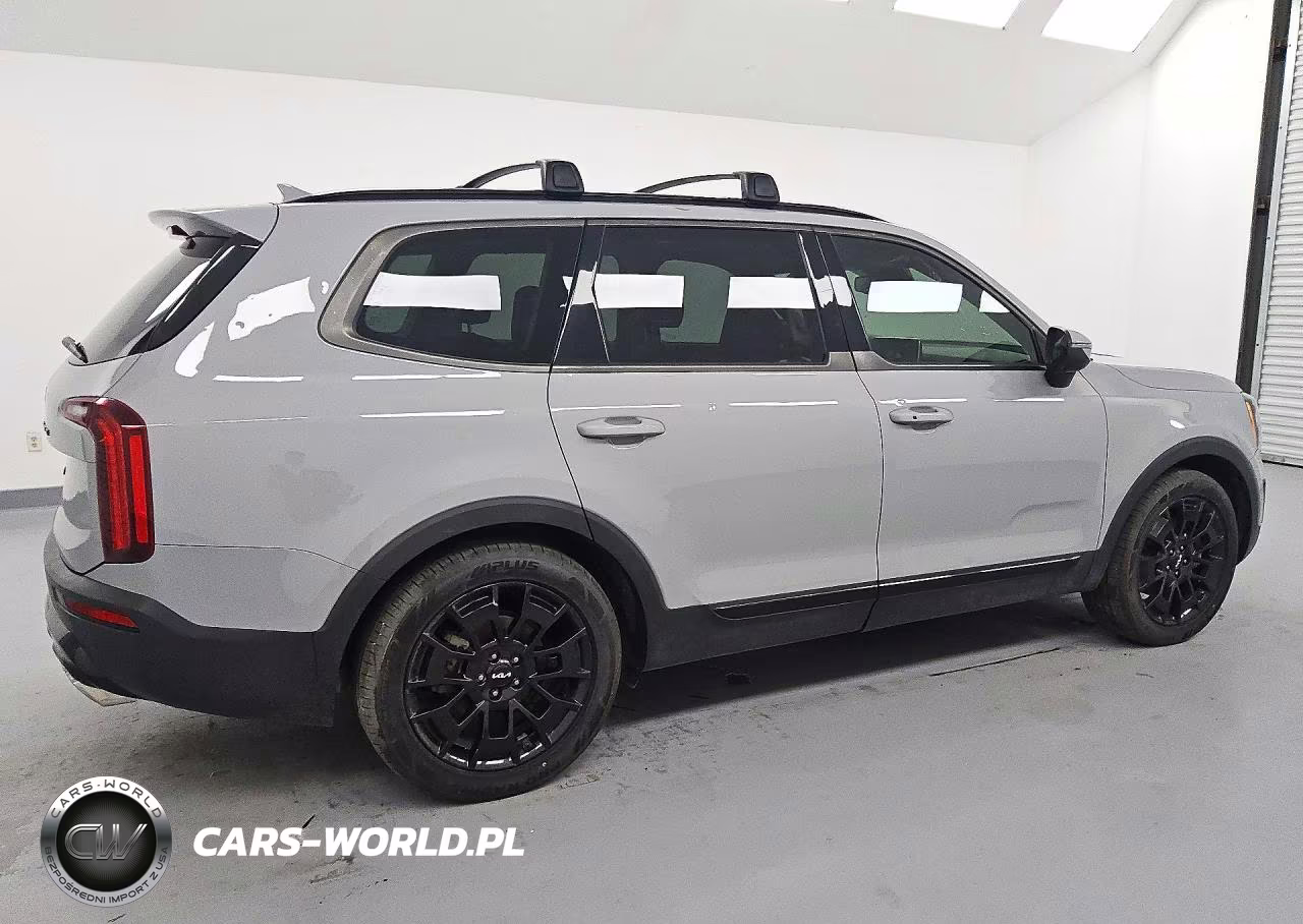 2022 Kia Telluride Ex VIN:5XYP3DHCXNG223367 - 3