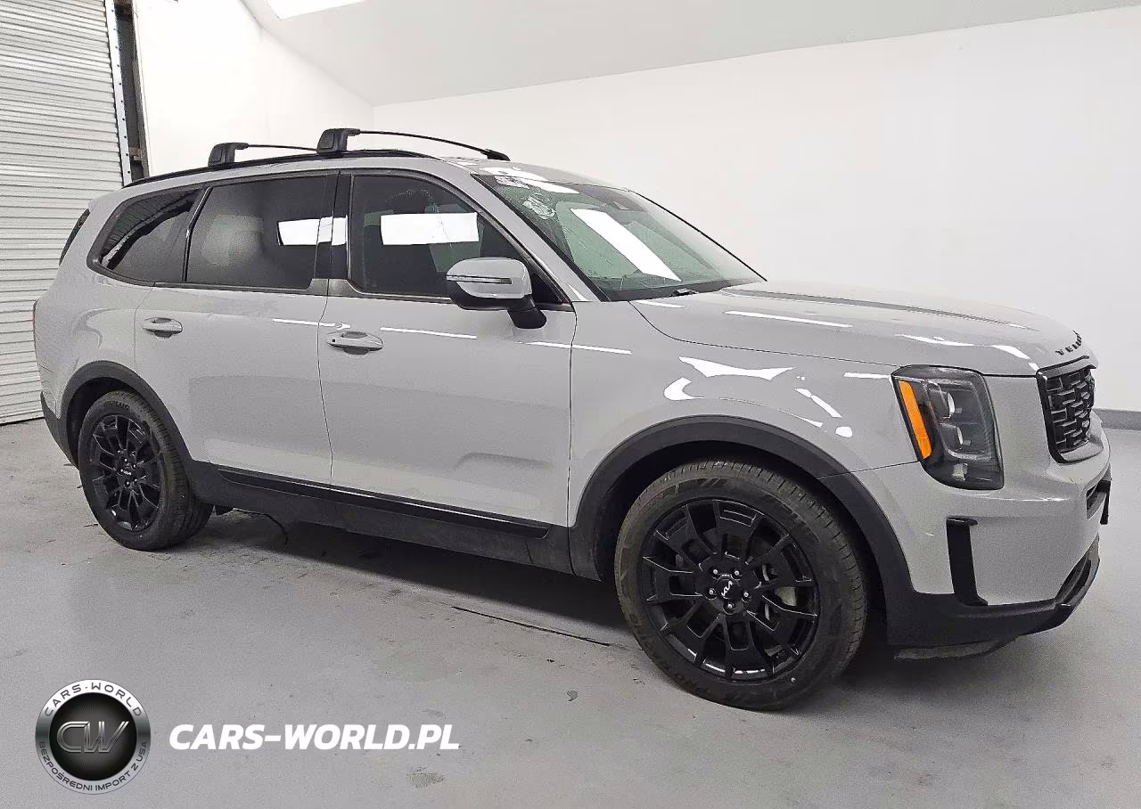 2022 Kia Telluride Ex VIN:5XYP3DHCXNG223367 - 4
