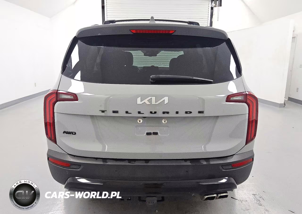 2022 Kia Telluride Ex VIN:5XYP3DHCXNG223367 - 6