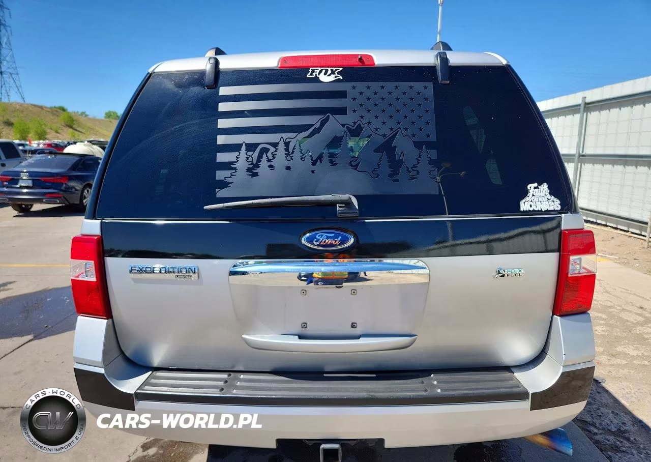 2010 Ford Expedition Limited VIN:1FMJU2A53AEA81848 - 6