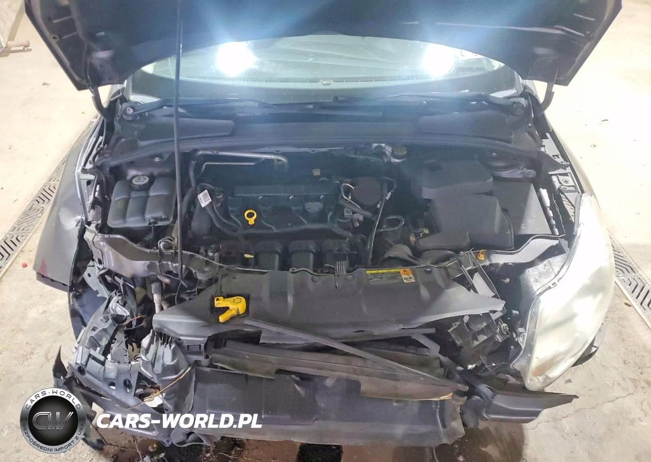 2012 Ford Focus Sel VIN:1FAHP3M22CL210636 - 11